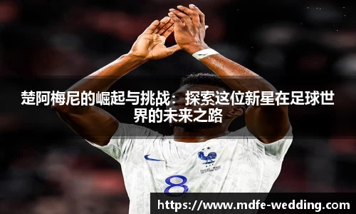 jbo竞博电竞官方网站