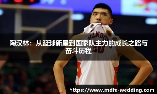 陶汉林：从篮球新星到国家队主力的成长之路与奋斗历程